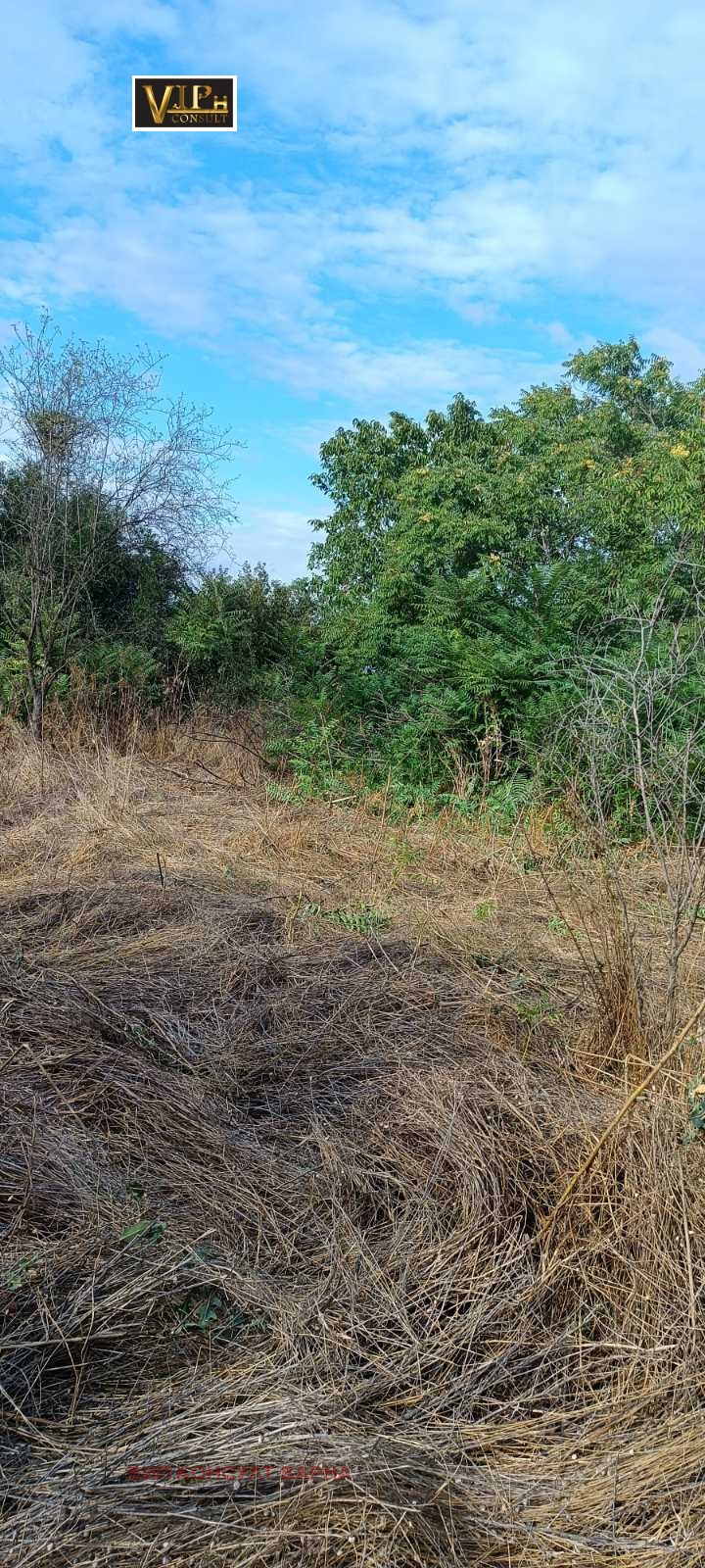 For Sale  Plot region Varna , Trastikovo , 1000 sq.m | 86240783 - image [10]