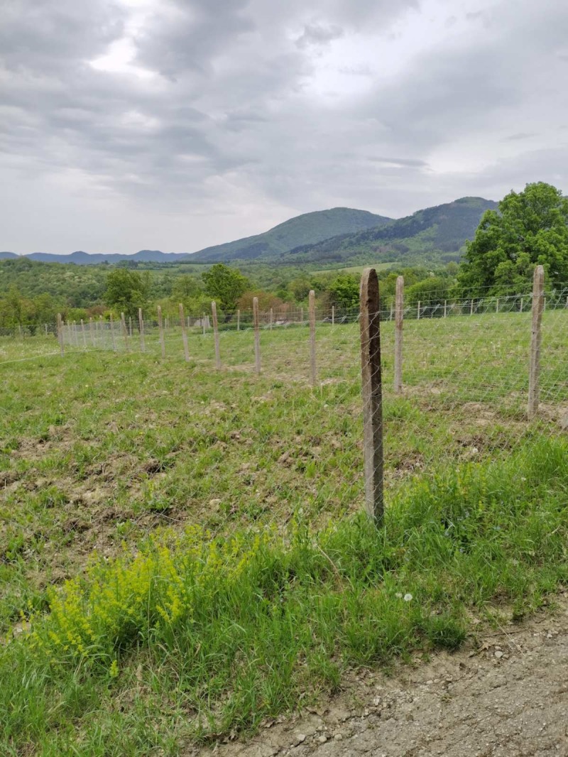 Продава ПАРЦЕЛ, с. Лазарци, област Велико Търново, снимка 5 - Парцели - 52602971