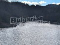 Продава ЗЕМЕДЕЛСКА ЗЕМЯ, с. Преколница, област Кюстендил, снимка 4