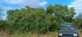 Продава ПАРЦЕЛ, област Варна, с. Тръстиково • 13000 € • 18837628 — Holmes.bg