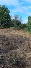 Продава ПАРЦЕЛ, област Варна, с. Тръстиково • 13000 € • 18837628 — Holmes.bg