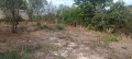 Продава ПАРЦЕЛ, област Варна, с. Тръстиково • 13000 € • 18837628 — Holmes.bg