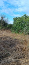 Продава ПАРЦЕЛ, област Варна, с. Тръстиково • 13000 € • 18837628 — Holmes.bg