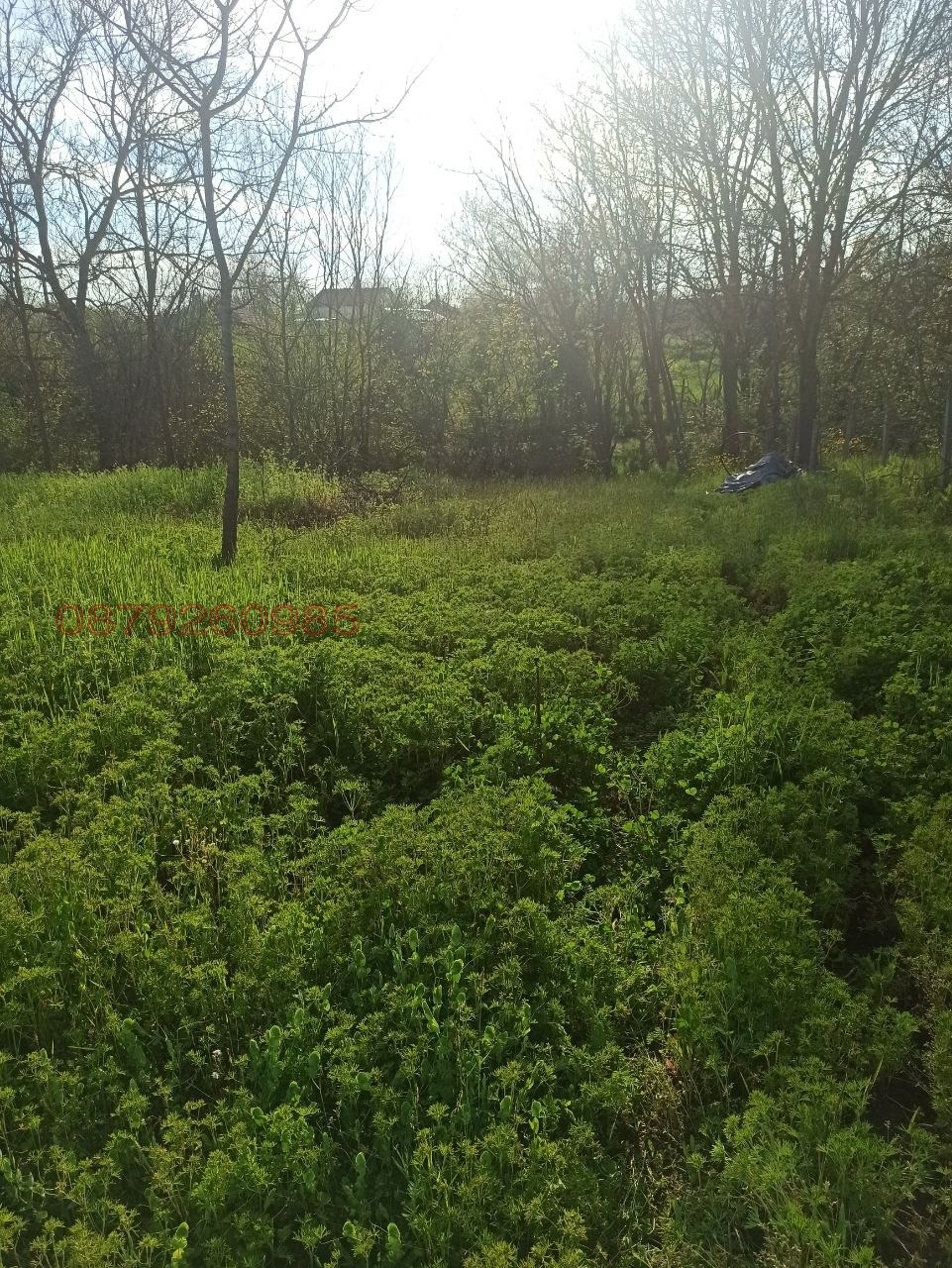 ������� ���� | Imot.bg � ����������� 8