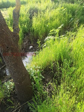 ������� ���� | Imot.bg � ����� ������ 7