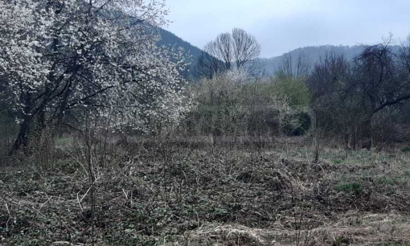 Eladó  Cselekmény régió Lovech , Trojan , 2080 négyzetméter | 15256871 - kép [3]