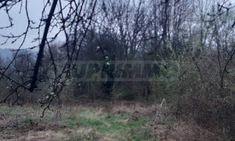 Eladó  Cselekmény régió Lovech , Trojan , 2080 négyzetméter | 15256871 - kép [7]