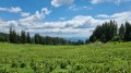 Продава ПАРЦЕЛ, к.к. Пампорово, област Смолян, снимка 2