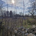 Продава ПАРЦЕЛ, област Варна, с. Климентово • 55000 € • 92242940 — Holmes.bg