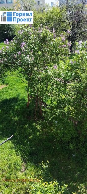 ������� 2-����� | Imot.bg � ����� ������ 8