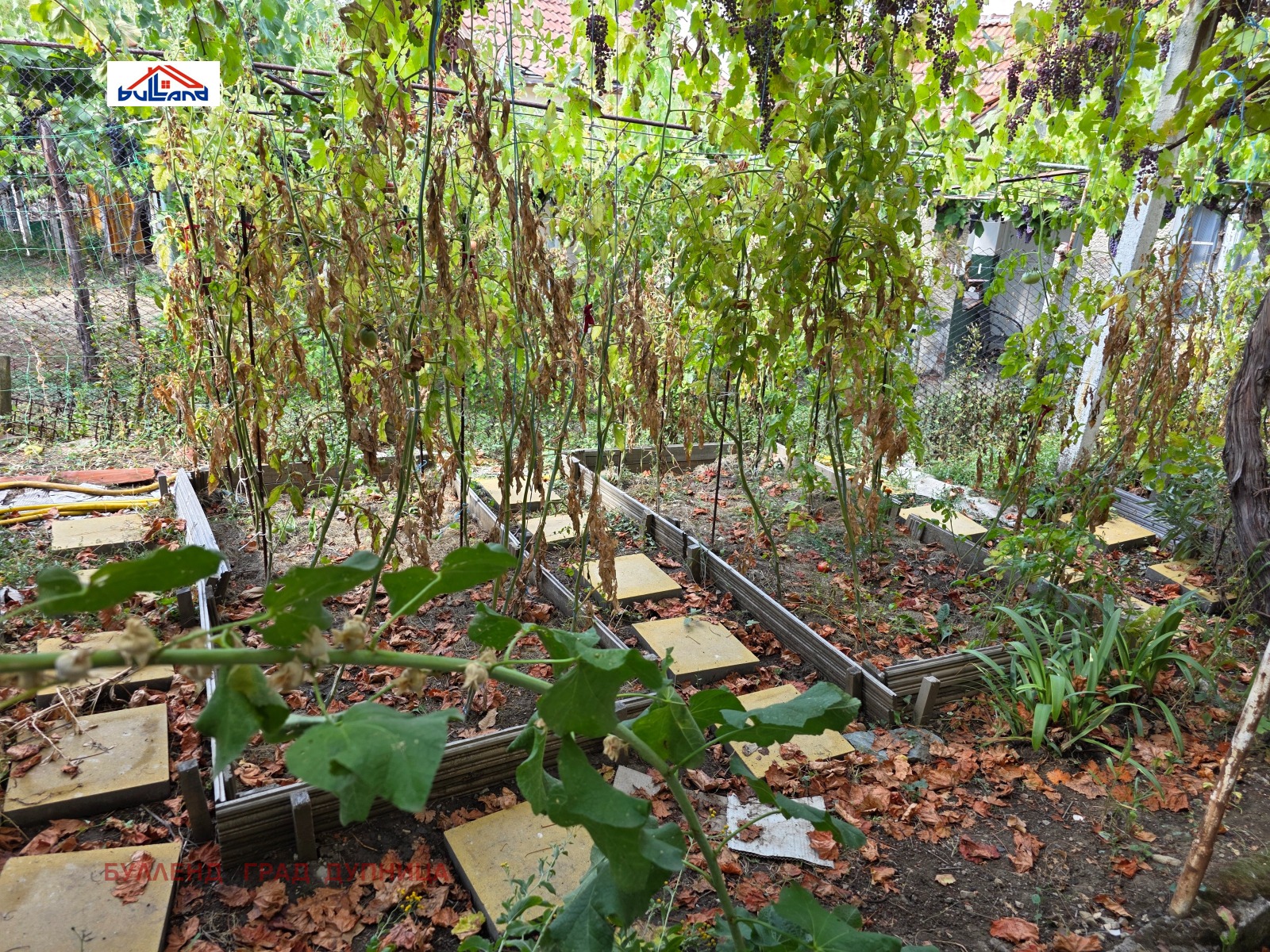 Продава КЪЩА, с. Коркина, област Кюстендил, снимка 10 - Къщи - 56267446