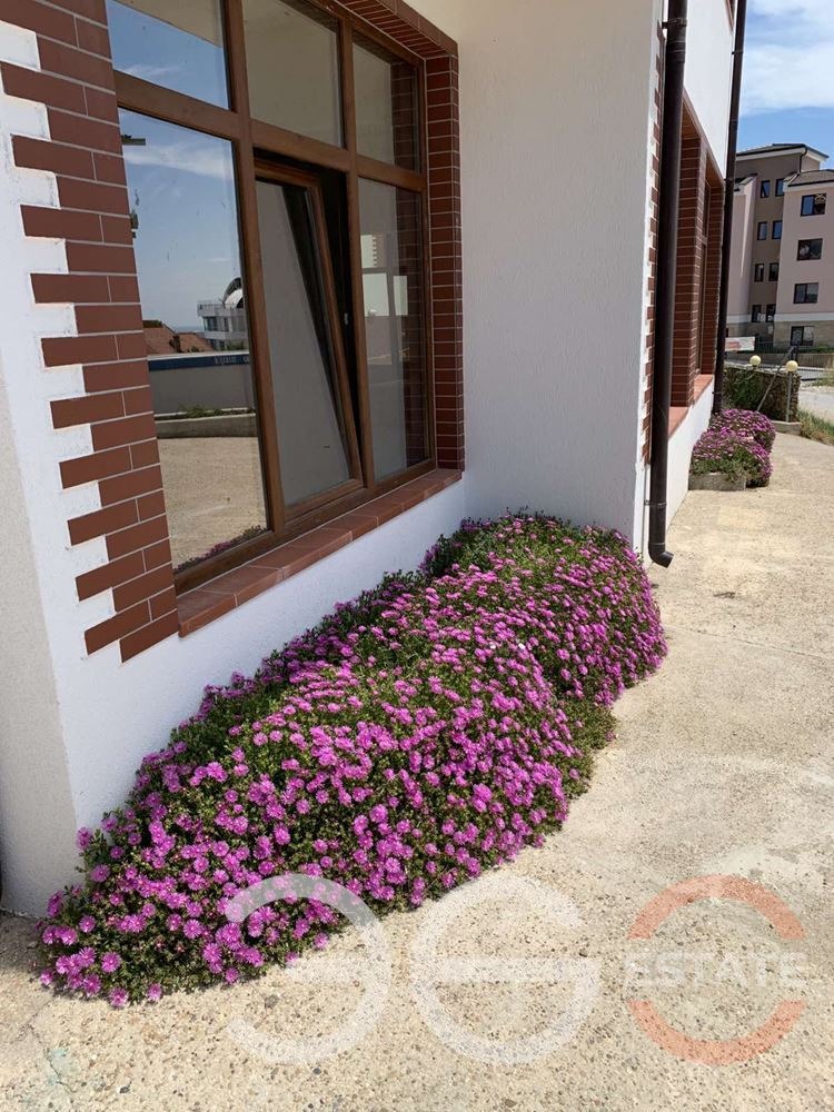 ������� 1-����� | Imot.bg � ����������� 1