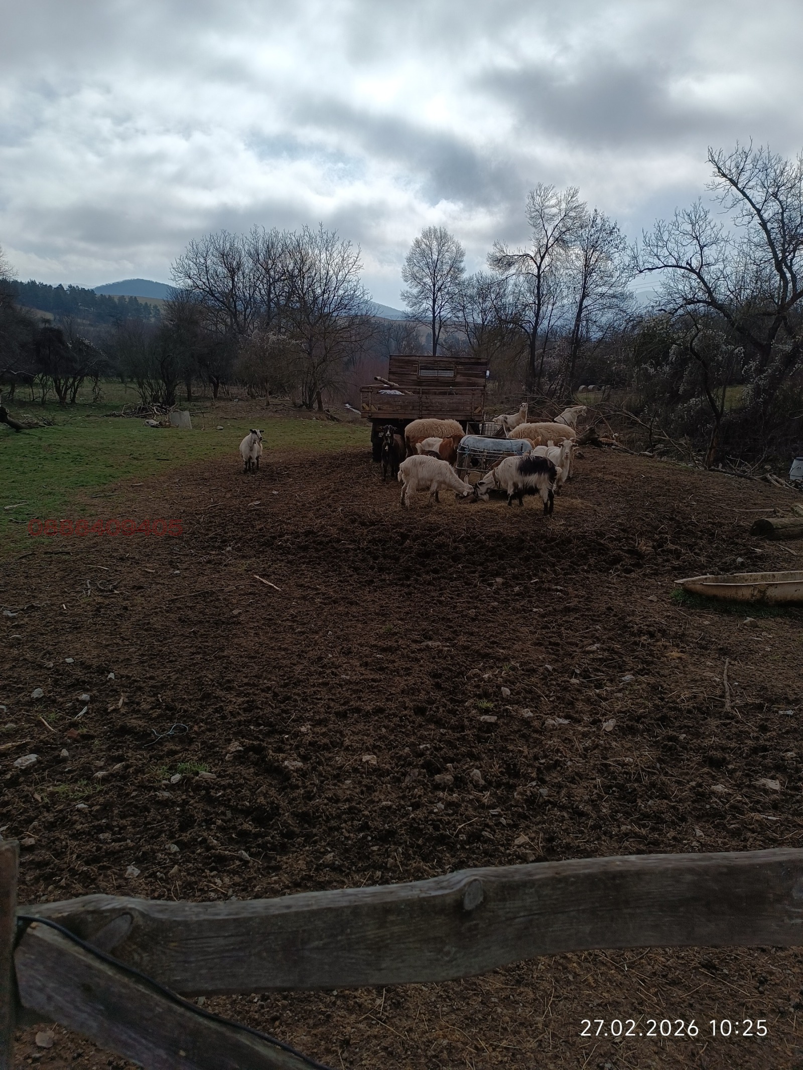 ������� ������ | Imot.bg � ����������� 3