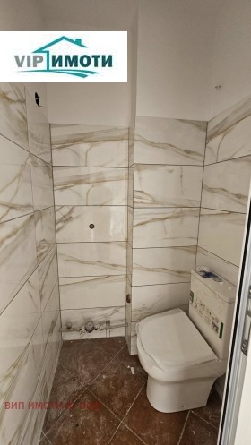 ����� ������� �������,���� �����, ������