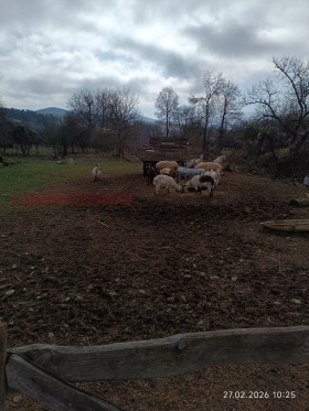 ������� ������ | Imot.bg � ����� ������ 3