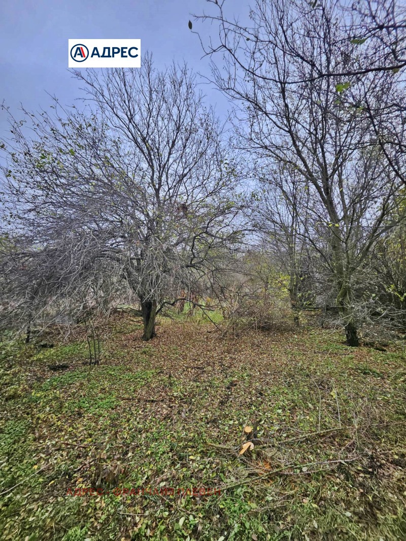 Til salgs  Hus region Pleven , Tusjenitsa , 74 kvm | 12366044 - bilde [3]