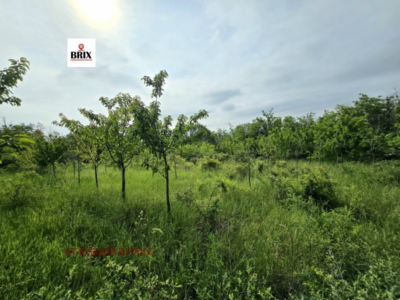 Продава  Парцел, град Русе, в.з. Образцов Чифлик • 13 000 EUR • ID 40029056 — holmes.bg - [1] 