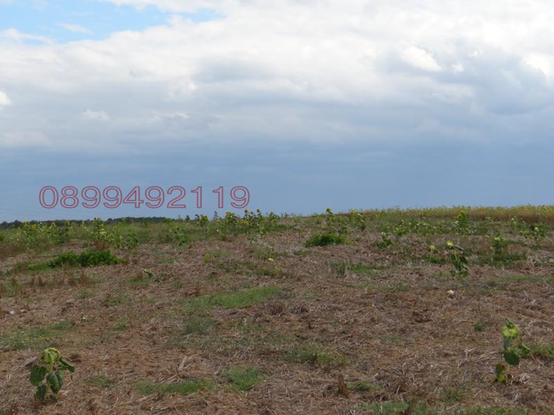 Продава  Земеделска земя област Варна , с. Близнаци , 7 дка | 22895323 - изображение [3]