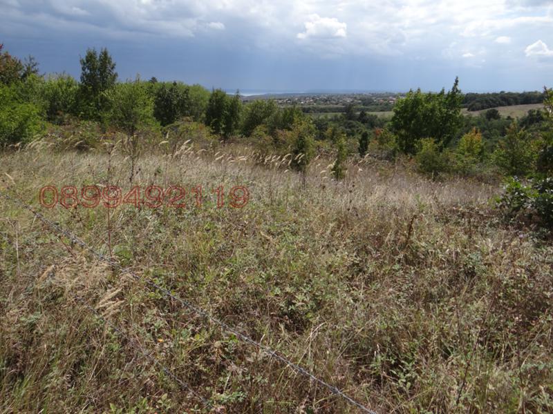 Продава  Земеделска земя област Варна , с. Близнаци , 7 дка | 22895323 - изображение [5]