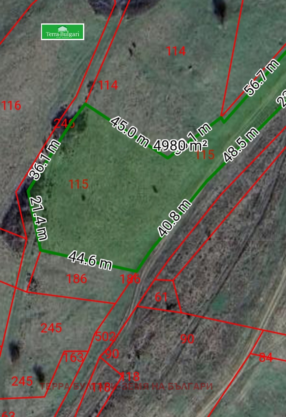 Продава ЗЕМЕДЕЛСКА ЗЕМЯ, с. Драгичево, област Перник, снимка 4 - Земеделска земя - 53775796