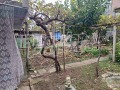 Продава  Етаж от къща област Шумен , гр. Нови пазар , 90 кв.м | 70480519 - изображение [8]