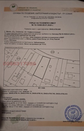 ������ ������� ������