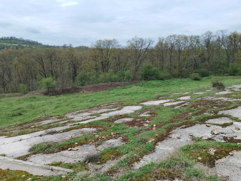 Zu verkaufen  Land region Varna , Solnik , 9 dka | 28178471 - Bild [14]