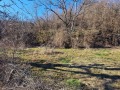 Продава ЗЕМЕДЕЛСКА ЗЕМЯ, гр. Дупница, област Кюстендил, снимка 3