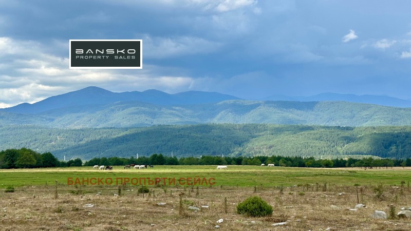 For Sale  Plot region Blagoevgrad , Razlog , 6202 sq.m | 71696061 - image [7]