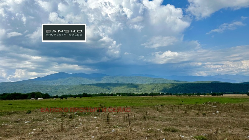 For Sale  Plot region Blagoevgrad , Razlog , 6202 sq.m | 71696061 - image [11]