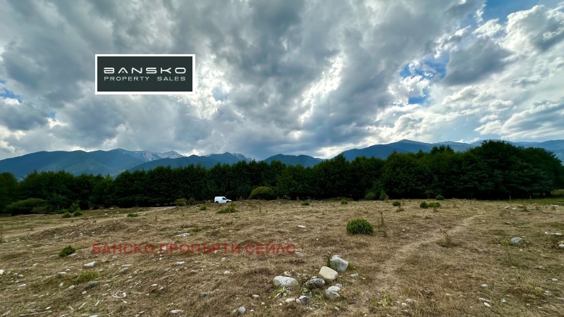 For Sale  Plot region Blagoevgrad , Razlog , 6202 sq.m | 71696061 - image [8]