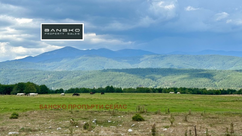 For Sale  Plot region Blagoevgrad , Razlog , 6202 sq.m | 71696061