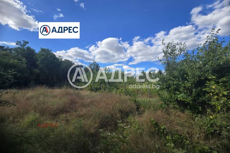 Продаја  Плот регион Варна , Аврен , 3155 м2 | 70956209 - слика [6]