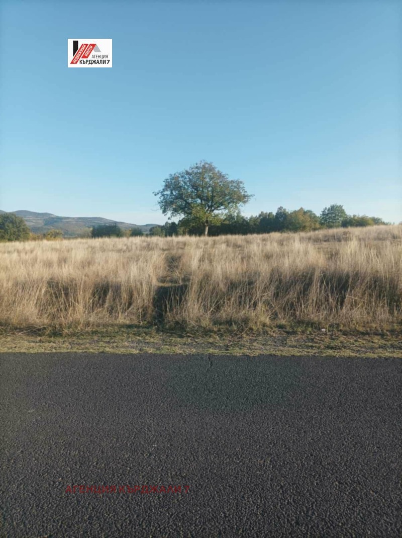 Продава ПАРЦЕЛ, с. Пепелище, област Кърджали, снимка 4 - Парцели - 53197992