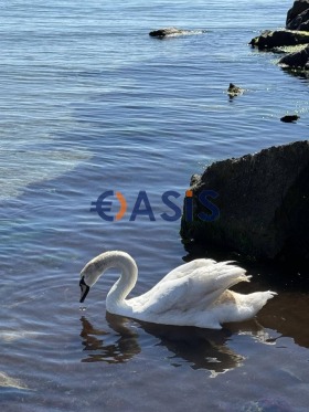 ������� 2-����� | Imot.bg � ����� ������ 14