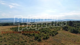 ������� ������ | Imot.bg � ����� ������ 8