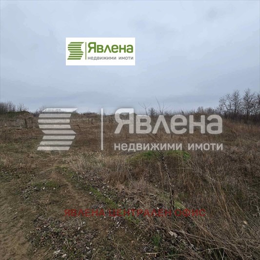 Продава ПАРЦЕЛ, с. Новоселци, област Видин, снимка 2 - Парцели - 49019280