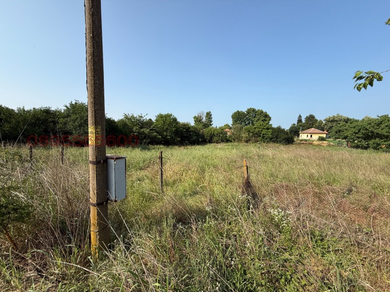 Продава ПАРЦЕЛ, гр. Брегово, област Видин, снимка 4 - Парцели - 53085190