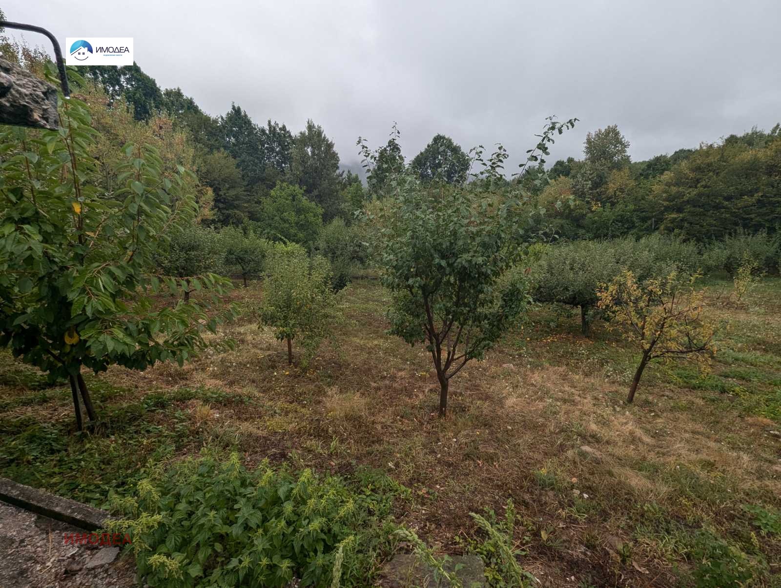 Продава КЪЩА, гр. Трявна, област Габрово, снимка 2 - Къщи - 51431859