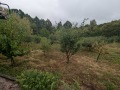 Продава КЪЩА, област Габрово, гр. Трявна • 130000 € / 254257.90 лв. • 36550919 2