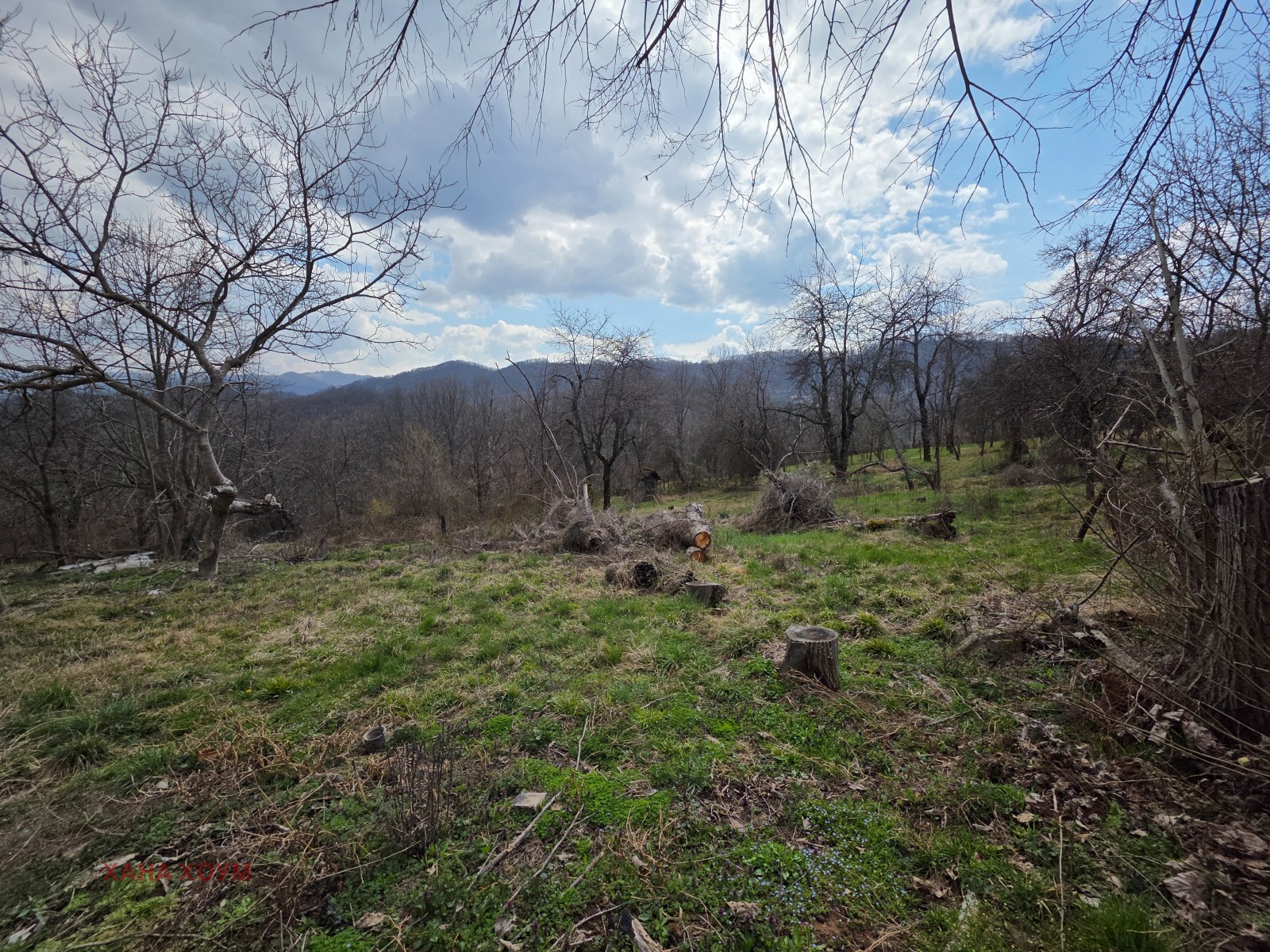 ������� ������ | Imot.bg � ����������� 8