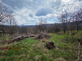 ������� ������ | Imot.bg � ����� ������ 7