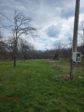 ������ ������� ������