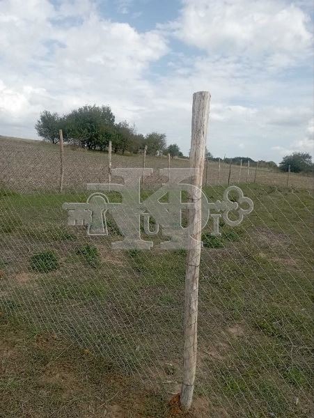 Eladó  Cselekmény régió Várna , Zdravec , 549 négyzetméter | 51605983 - kép [3]