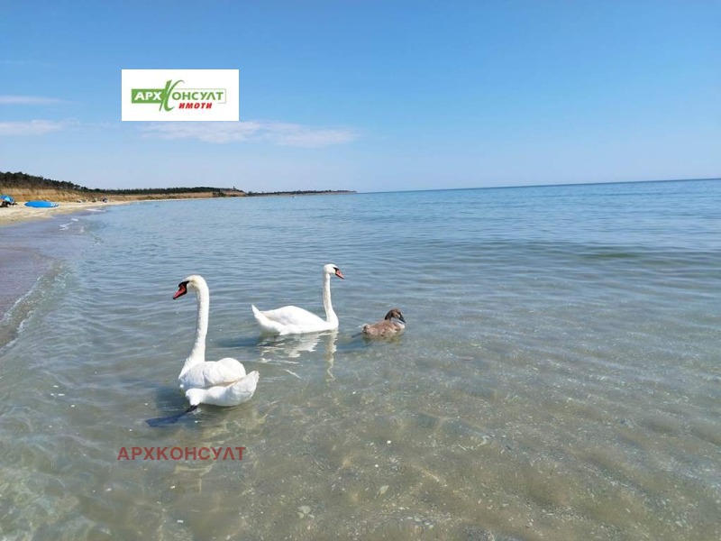 Продава ПАРЦЕЛ, с. Езерец, област Добрич, снимка 3 - Парцели - 52548815