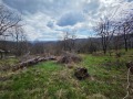 Продава ПАРЦЕЛ, област Ловеч, гр. Троян • 32000 € / 62586.56 лв. • 52139916 11