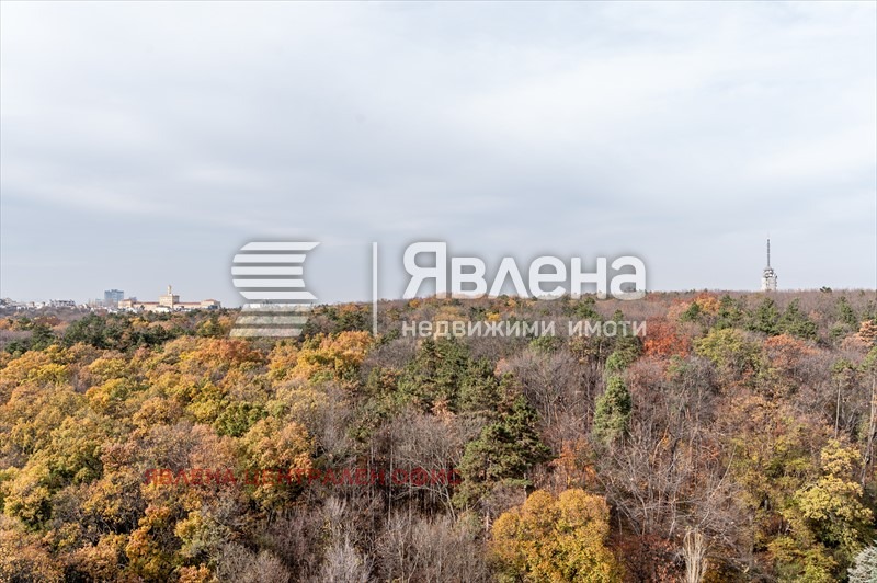 Продава 4-СТАЕН, гр. София, Изгрев, снимка 10 - Апартаменти - 53715935