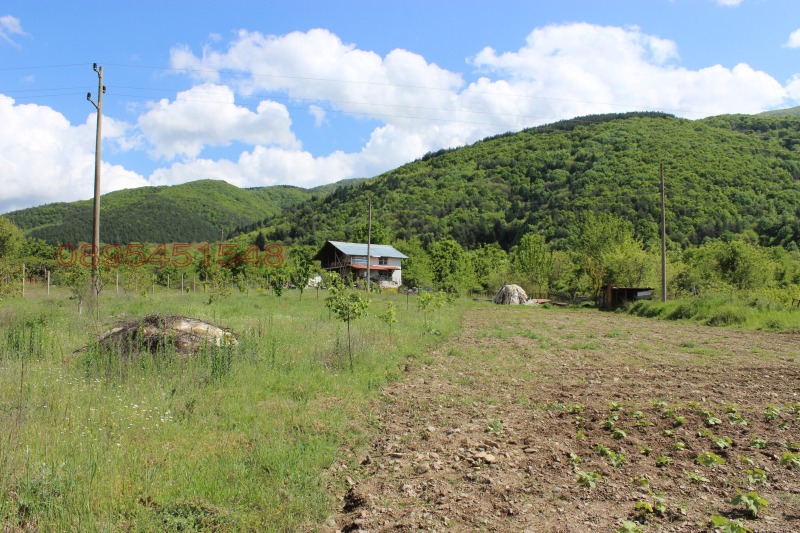 Продава ВИЛА, гр. Петрич, област Благоевград, снимка 3 - Вили - 52784811