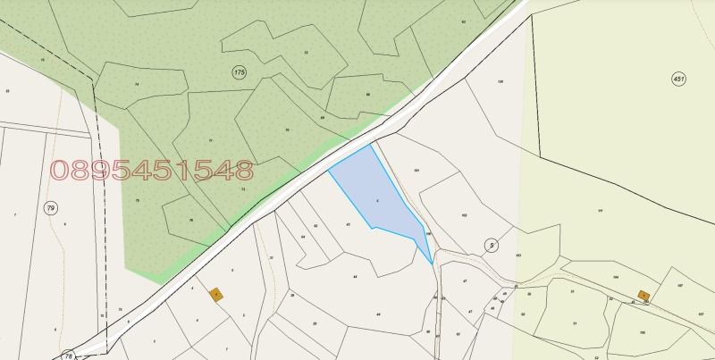 Продава ВИЛА, гр. Петрич, област Благоевград, снимка 4 - Вили - 52784811