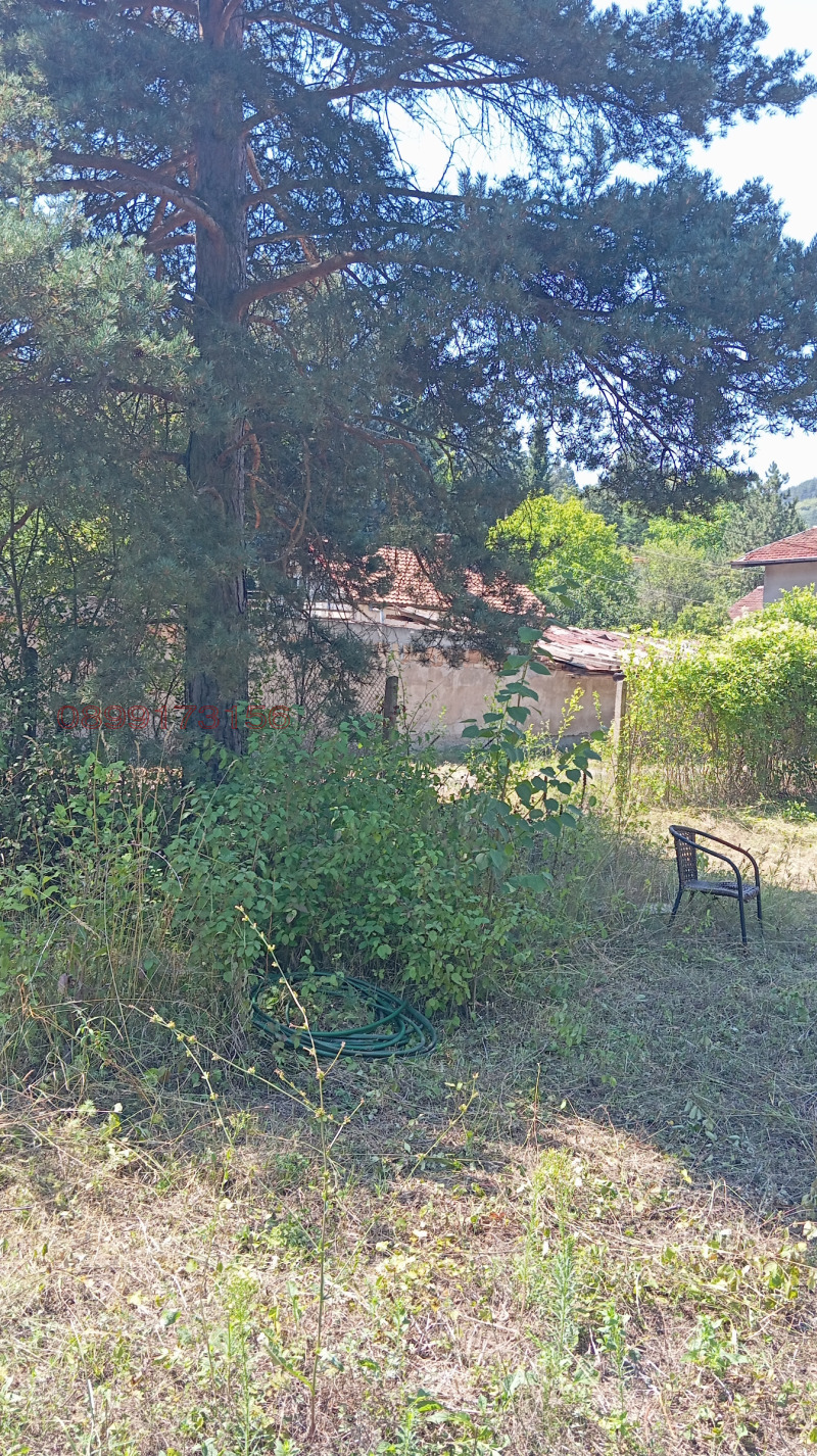 En venta  Trama región Sofia , Svoge , 1020 metros cuadrados | 45631171